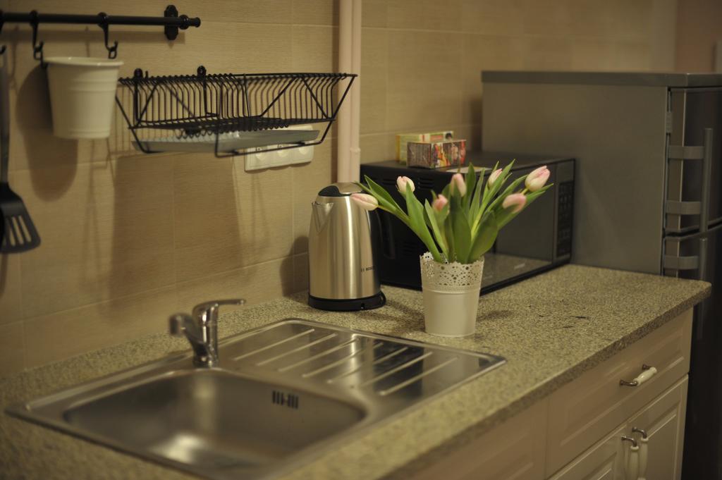 Vinci Apartment Krasków Cameră foto
