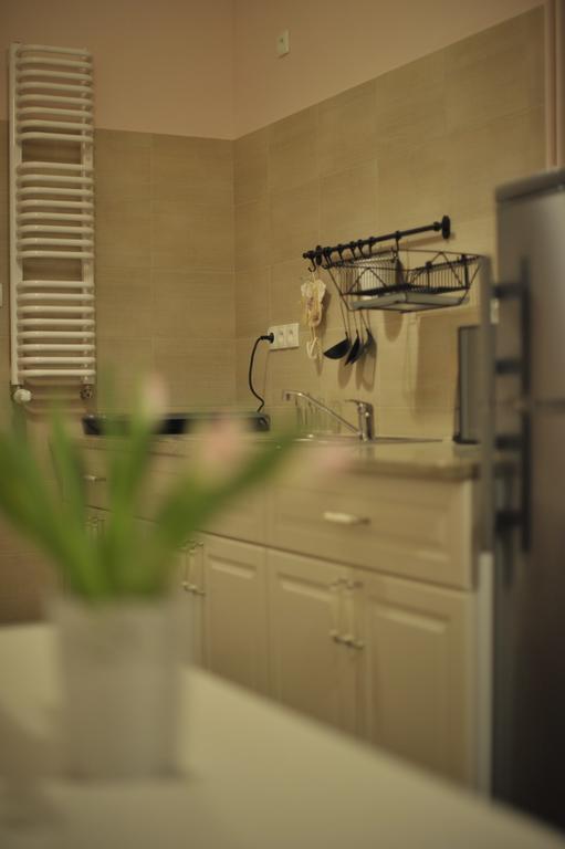 Vinci Apartment Krasków Cameră foto